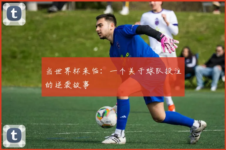 当世界杯来临：一个关于球队投注的逆袭故事