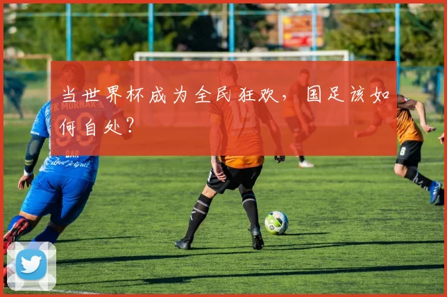 当世界杯成为全民狂欢，国足该如何自处？