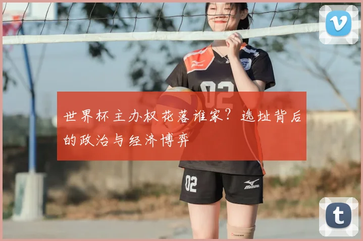 世界杯主办权花落谁家？选址背后的政治与经济博弈