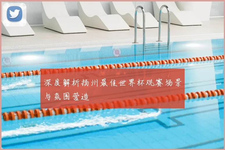 深度解析扬州最佳世界杯观赛场景与氛围营造