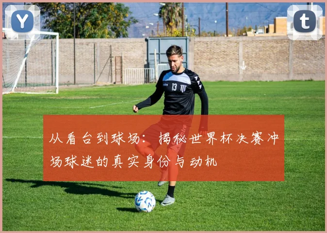 从看台到球场：揭秘世界杯决赛冲场球迷的真实身份与动机