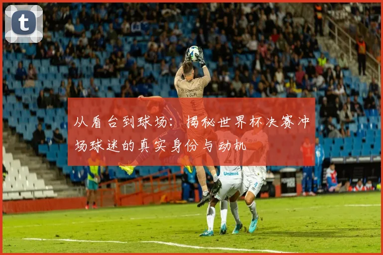 从看台到球场：揭秘世界杯决赛冲场球迷的真实身份与动机