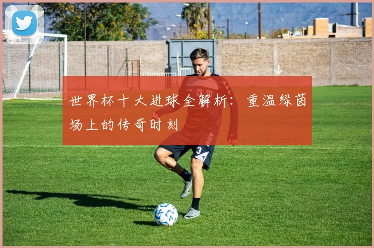 世界杯十大进球全解析：重温绿茵场上的传奇时刻