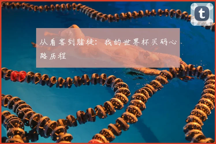 从看客到赌徒：我的世界杯买码心路历程